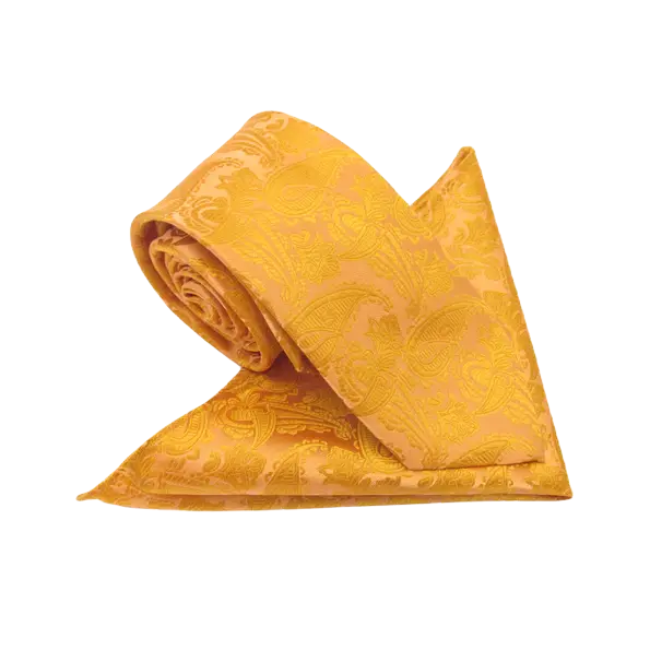 Van Buck Orange Paisley Tie & Square Set