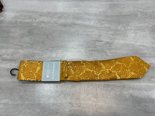 William turner paisley gold tie and sq