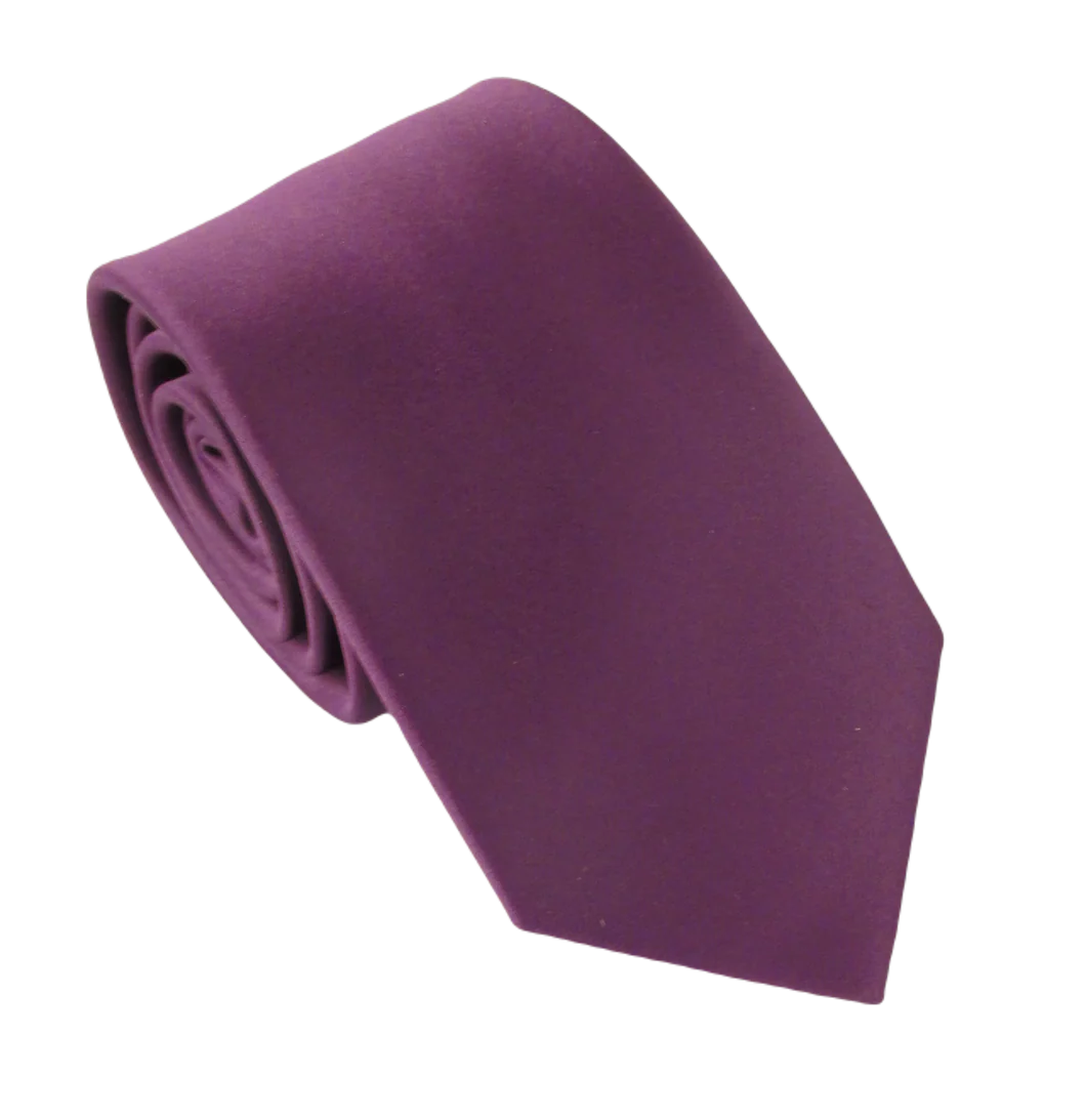 Van Buck Aubergine Tie & Square