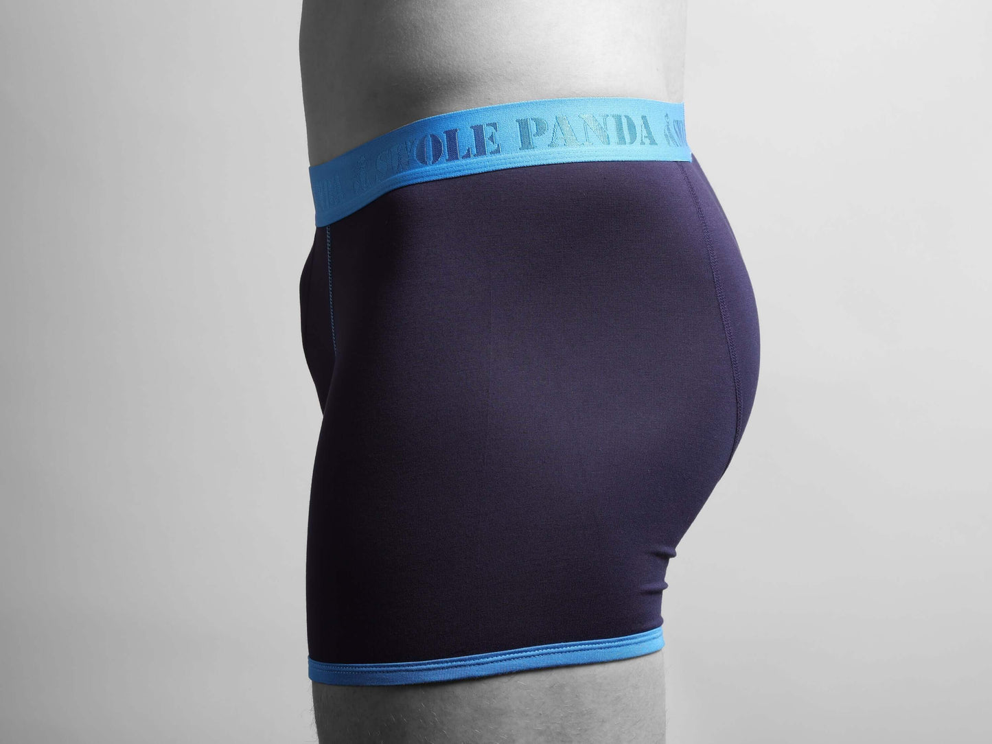 Underwear - Bamboo Boxers - Navy / Blue Band