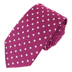 Van Buck Polka Dot Tie and Square Set