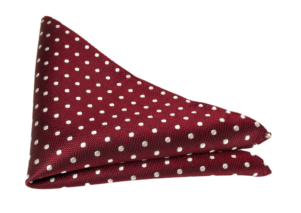 Van Buck Polka Dot Tie and Square Set