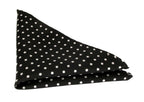 Van Buck Polka Dot Tie and Square Set