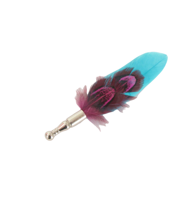 Van Buck Feather Lapel Pin