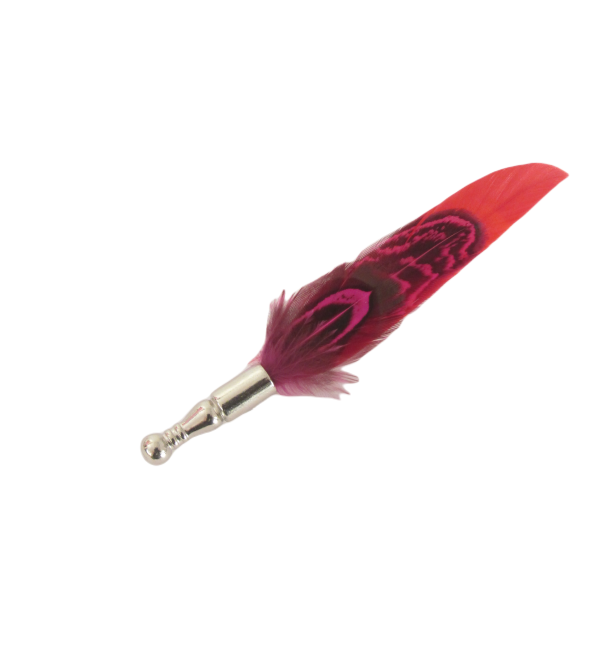 Van Buck Feather Lapel Pin