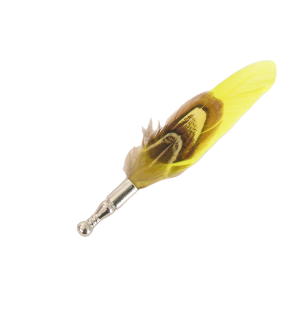 Van Buck Feather Lapel Pin