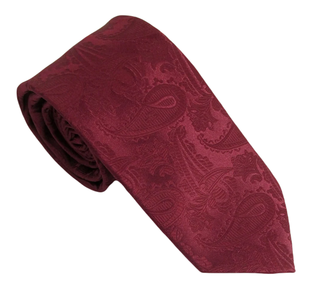 VAN BUCK POLY PAISLEY WINE TIE AND POCKET SQUARE