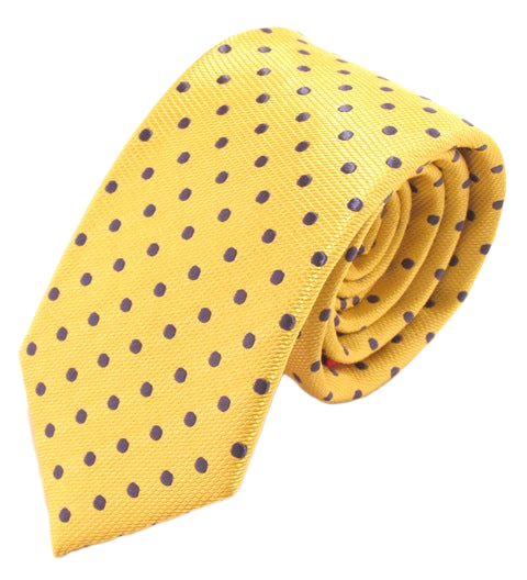 Van Buck Polka Dot Tie and Square Set