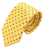 Van Buck Polka Dot Tie and Square Set