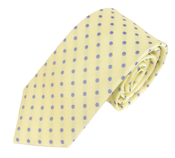 Van Buck Polka Dot Tie and Square Set