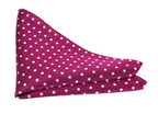 Van Buck Polka Dot Tie and Square Set