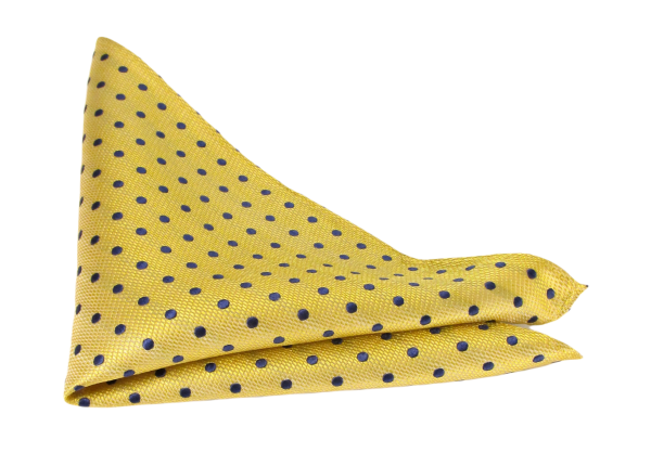 Van Buck Polka Dot Tie and Square Set