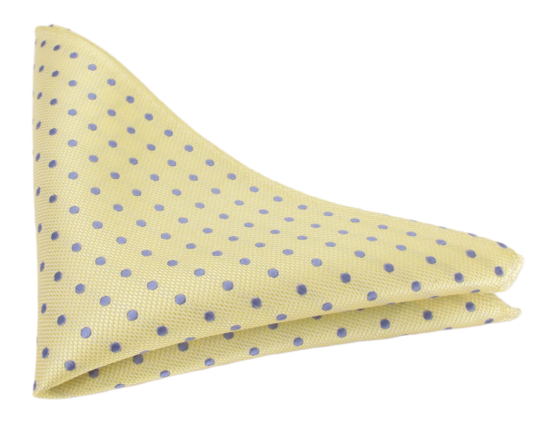 Van Buck Polka Dot Tie and Square Set
