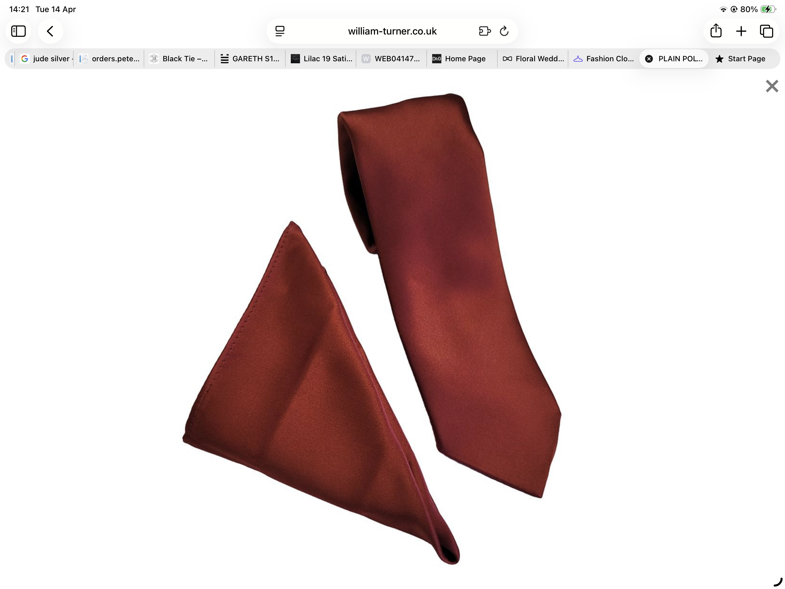 William turner Rust Tie and Pocket Square