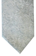 Wedding Paisley Tie and Matching Square Silver