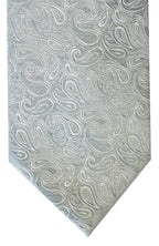 Wedding Paisley Tie and Matching Square Silver
