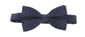 Van Buck Navy Diamanté Bow Tie