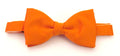 Bow Tie - Van Buck Tangerine Orange