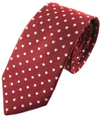 Van Buck Polka Dot Tie and Square Set